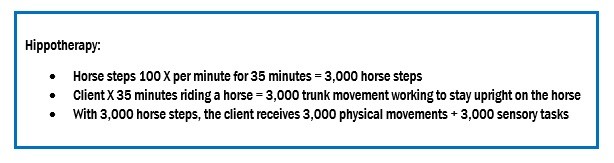 HIPPOTHERAPY CHART HIPPOTHERAPY CHART
