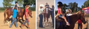 What is Hippotherapy?